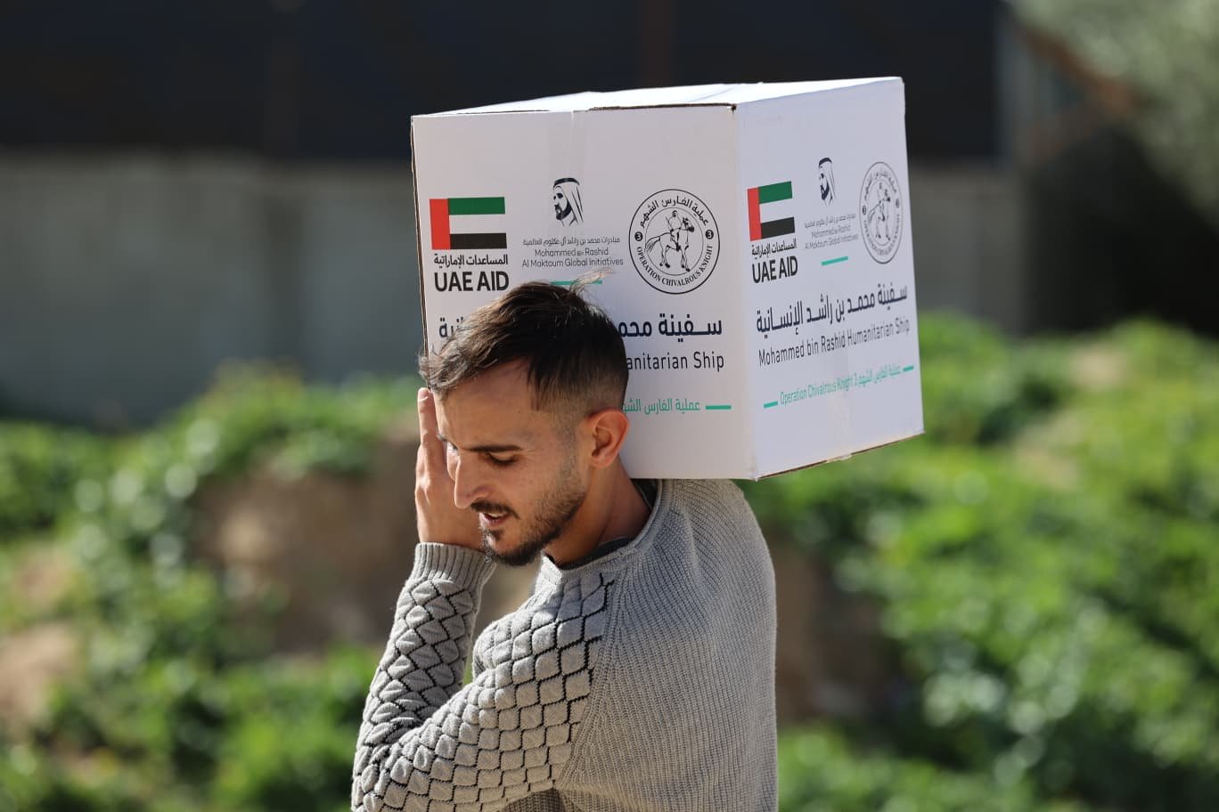 Photos: Distribution of food parcels to the residents of Al-Nuseirat City